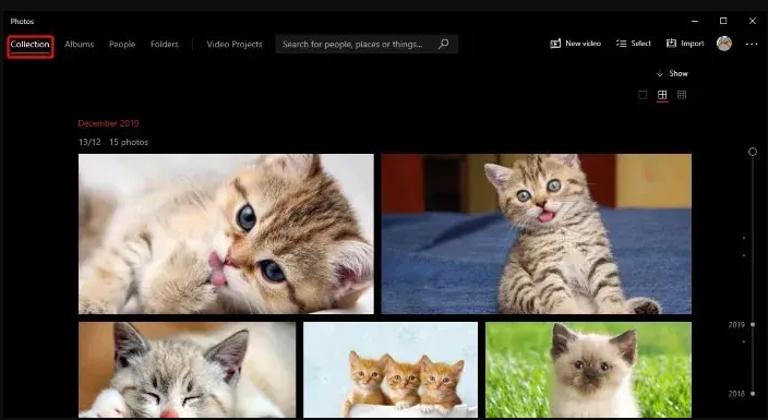 Windows Photo App: Click on Collection Button